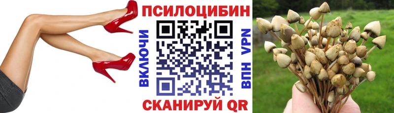 Галлюциногенные грибы Magic Shrooms  Электросталь 